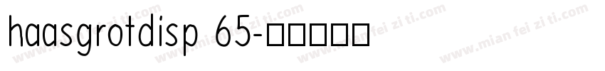 haasgrotdisp 65字体转换